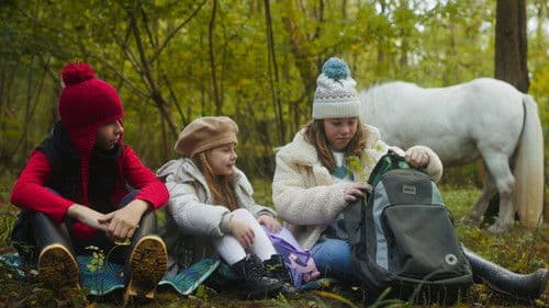 Das Geheimnis des Einhorns Bild 4