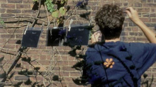 The Odds of Recovery Bild 3