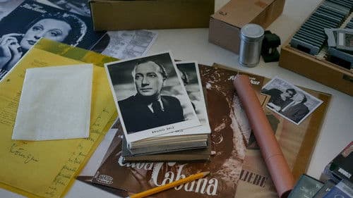 Im Schatten der Träume Bild 2