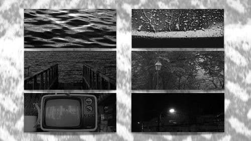 Ensaio sobre a Imutação Bild 1