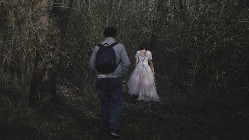 Kísértés az erdő mélyén - "A Megtört Fény" Bild 3