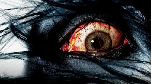 Der Fluch - The Grudge Bild 2