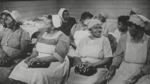 All My Babies... A Midwife's Own Story Bild 1