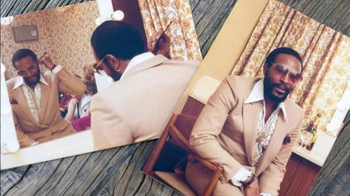 Marvin Gaye - Visionär des Soul Bild 1