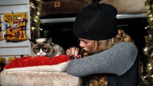 Grumpy Cat's miesestes Weihnachtsfest ever Bild 6