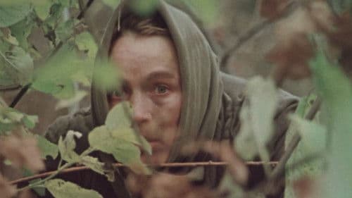 Знак беды Bild 1