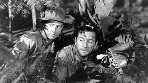 The Caribbean Mystery Bild 1