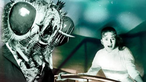 Die Rückkehr der Fliege Bild 2