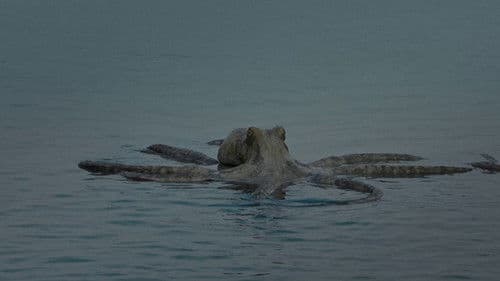 All You Can Eat Buddha Bild 3