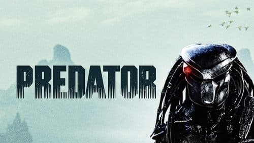 Predator Bild 7