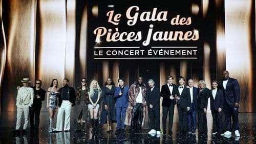 Le Gala des Pièces Jaunes 2025 : Le concert événement Bild 1