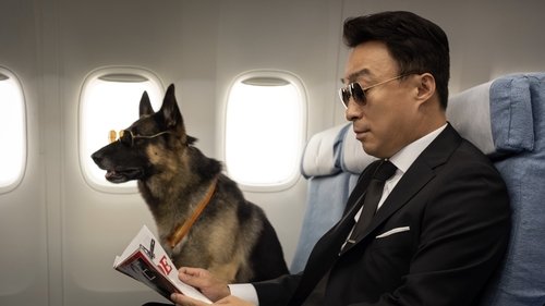 미스터 주: 사라진 VIP Bild 1