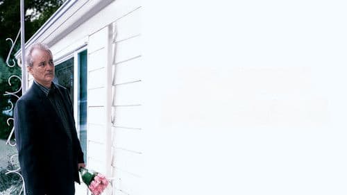 Broken Flowers Bild 6