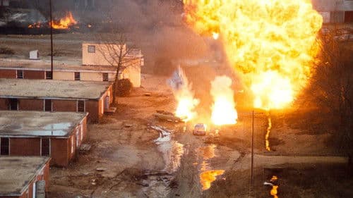 Um Kopf und Kragen Bild 5