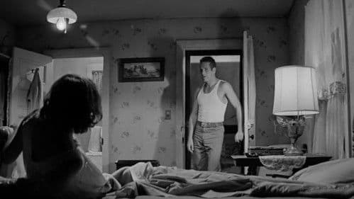 Der Wildeste unter Tausend Bild 2