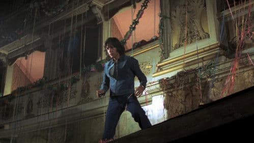 Vier Fliegen auf grauem Samt Bild 4