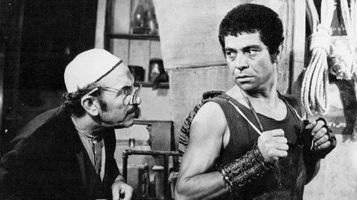 گرگ بیزار Bild 1