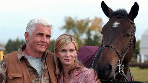 Im Bann der schwarzen Witwe Bild 3