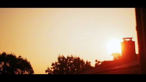 Dawn's Sunset Bild 2