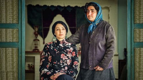 بی همه چیز Bild 3