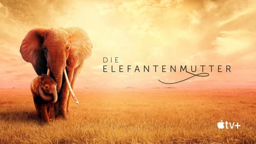 Die Elefantenmutter Bild 7