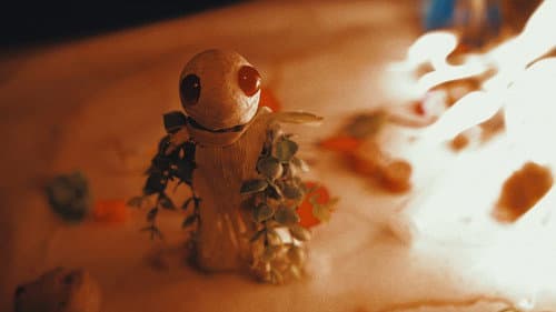 The Plant Boy Bild 4