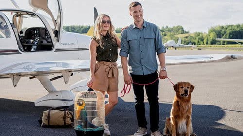 Fly Away With Me Bild 2