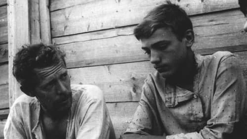 Родина электричества Bild 1