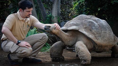 Animal Embassy Bild 1