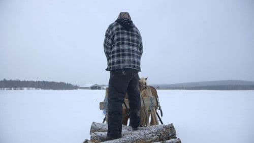 Le plancher des vaches Bild 4