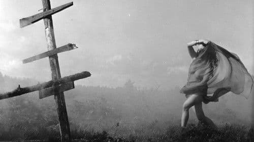 Noita palaa elämään Bild 1