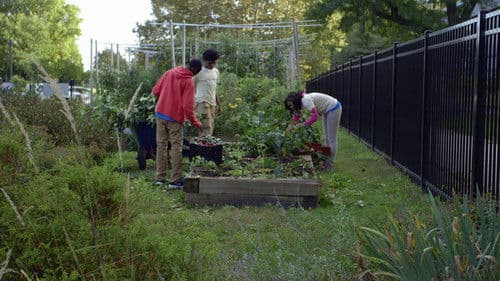 The Kids Menu Bild 1