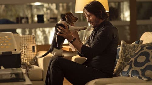John Wick Bild 3