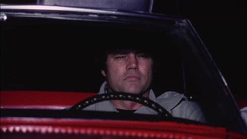 Ein Mann nimmt Rache Bild 2