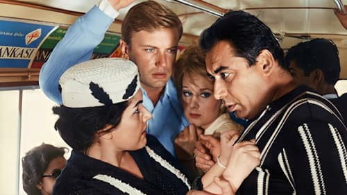 Beyaz Güvercin Bild 1