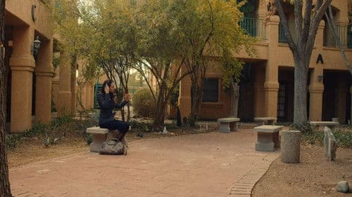 A Tiny House Christmas Bild 2