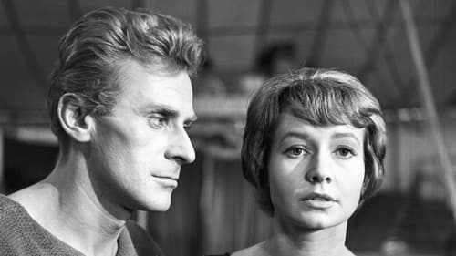 Dom bez okien Bild 1