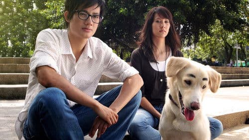 ความจำสั้น แต่รักฉันยาว Bild 1