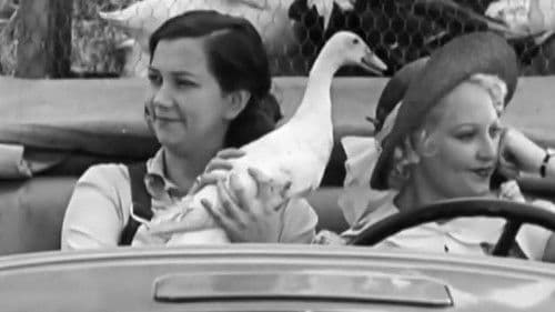 One-Horse Farmers Bild 1