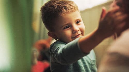 Let's Be Tigers Bild 2