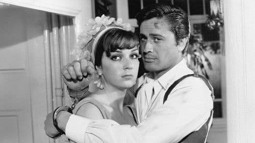 Yakut Gözlü Kedi Bild 1