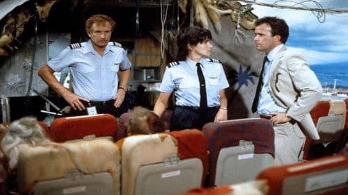 Katastrophenflug 243 Bild 2