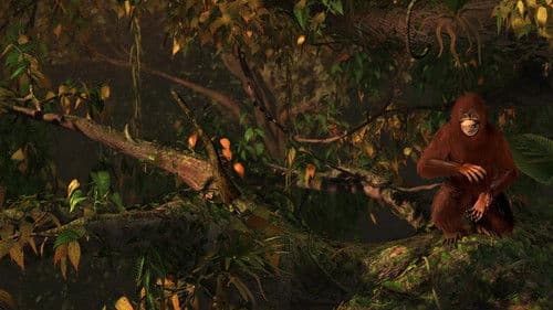 S.O.S. Planet Bild 1