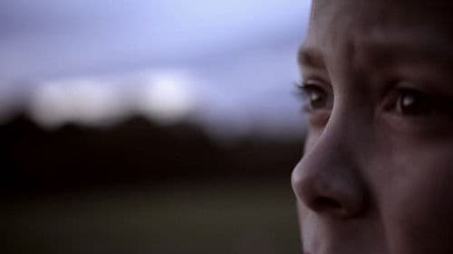 Belsen: Our Story Bild 1