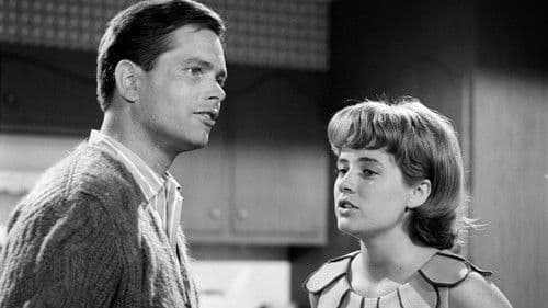 The Patty Duke Show Bild 1