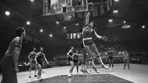 Arvydas Sabonis.11 Bild 1