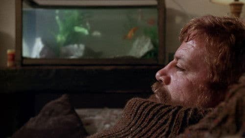 Castaway - Die Insel Bild 6