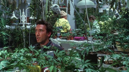 Grasgeflüster Bild 2