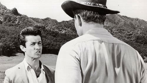 König von Hawaii Bild 4