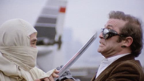 New York Ninja Bild 7